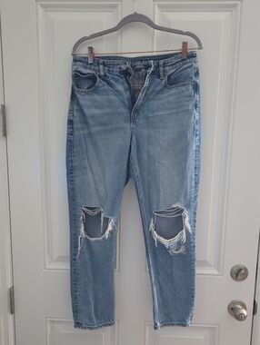 American Eagle Outfitters Light Blue Mom Jean
